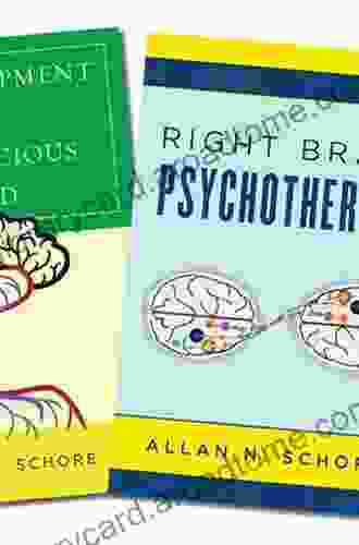 Right Brain Psychotherapy (Norton on Interpersonal Neurobiology)