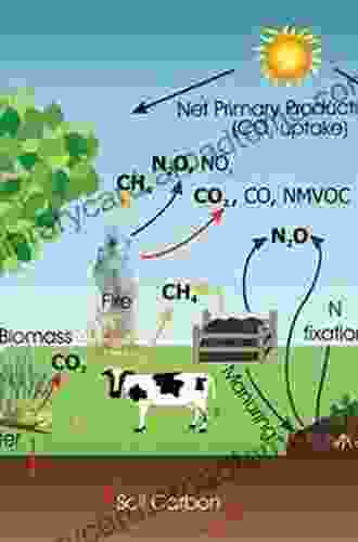 The Biochar Solution: Carbon Farming and Climate Change