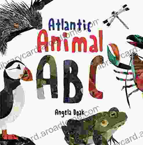 Atlantic Animal ABC John Seven