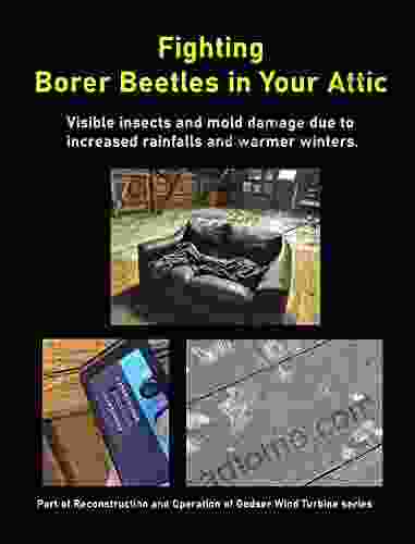 Fighting Borer Beetles In Your Attic: Visible Insects And Mold Damage Due To Increased Rainfalls And Warmer Winters (Reconstruction And Operation Of Gedser Wind Turbine )