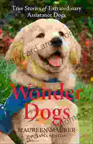 Wonder Dogs: True Stories of Extraordinary Assistance Dogs